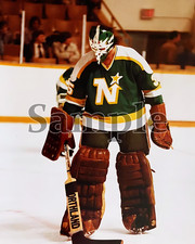 Minnesota North Stars Goalie