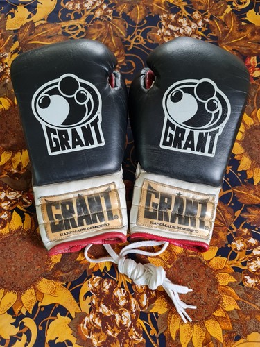 Guanti boxe professionali - da,