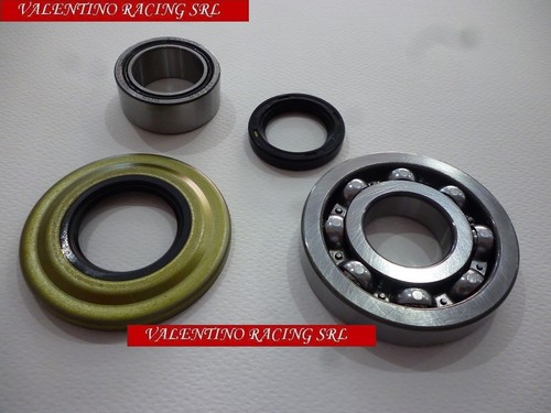 Kit rev cuscinetti paraolio - cuscinetti, e