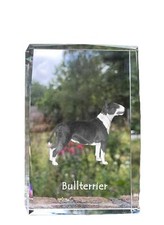 Bull Terrier, Bullterrier -