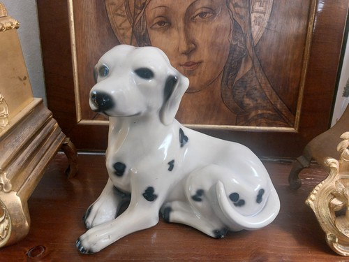 Anni cagnolino cucciolo di - anni,