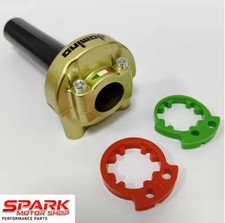 Gas Rapido Domino Racing Oro