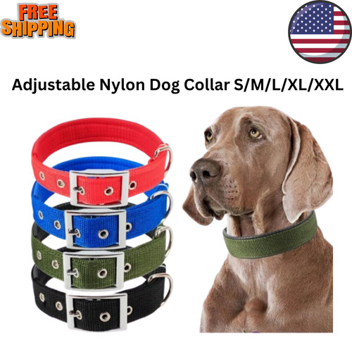 Collare per cani nylon - per, in