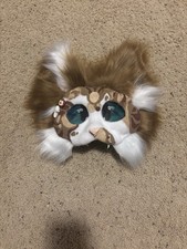 Maschera gatto Main Coon