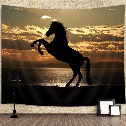 Poster natura cavallo - , tramonto