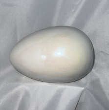 Bellissimo grande uovo di