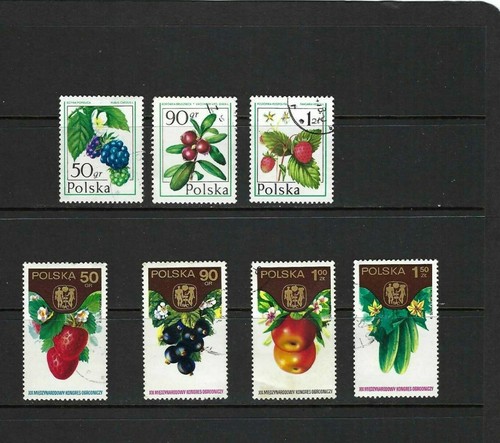 Frutti della polonia foresta - frutti,