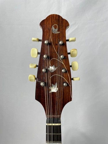 Mandolino tondo rafael carache - rafael,