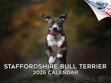 Staffordshire Bull Terrier