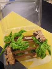 lotto PALME presepe vintage - made in Italy