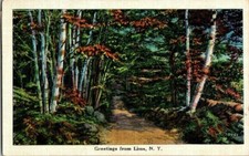 anni '30 SALUTI DA LIMA,NY