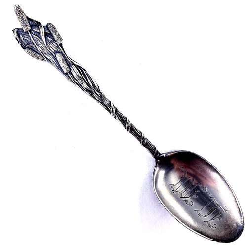 Cucchiaio souvenir paye - cucchiaio, &