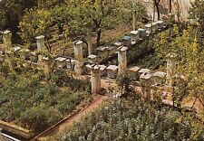 22-62C) EBOLI MONASTERO MONACHE BENEDETTINE GIARDINO ALVEARI SALERNO