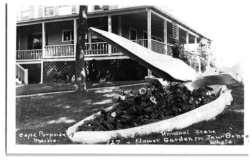 Maine rppc cartolina - maine, n.127