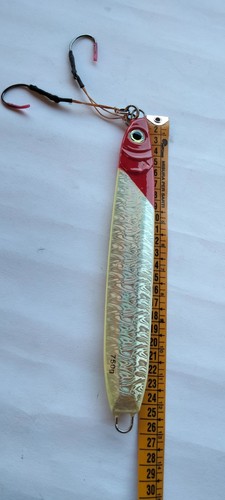 Esca artificiale pesca mare - in,