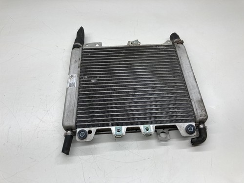 Radiatore radiator acqua - radiatore,