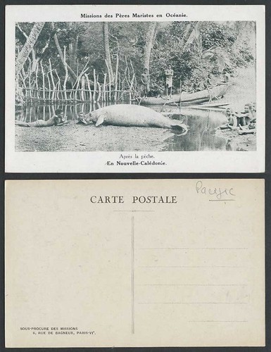 New caledonia old postcard - old,