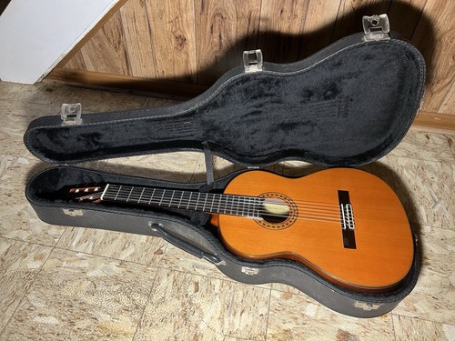Custodia rigida chitarra