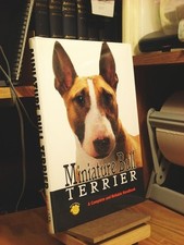 Miniature Bull Terrier