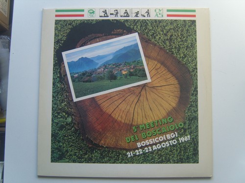 Disco vinile giri 5 - in,