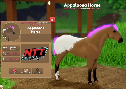 Wild horse islands buckskin - wild,