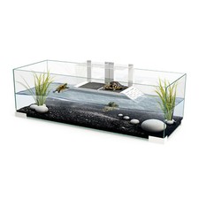 ASKOLL Ciano Tartarium Cool