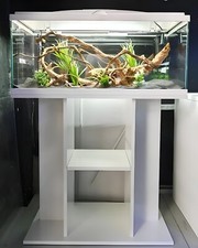 Nuovo grande acquario - nuovo,