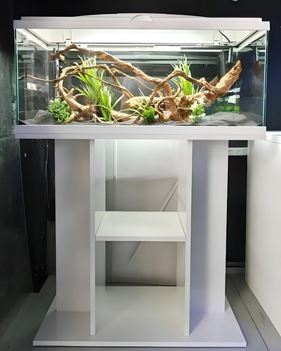 Nuovo grande acquario - **,