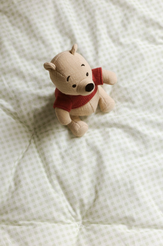 Disney sanderson winnie the - disney,