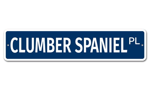 5668 clumber spaniel x - 5668,
