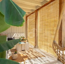 Bambù Parasole Tenda