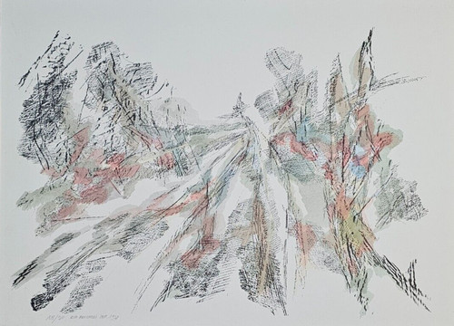 Aldo pancheri - aldo,