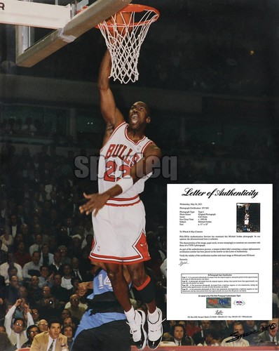 Espositore jumbo dunk phenom - espositore, jumbo!!