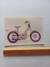 Testi 50 Jeans 1974 tubone foto cartella stampa originale