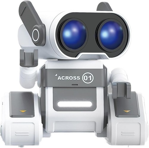 Robot giocattolo telecomando - giocattolo,