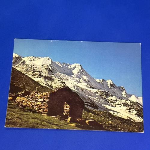 Cogne gran paradiso roccia - cogne,