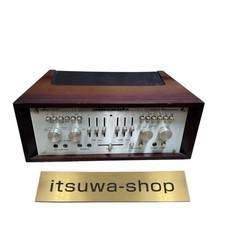 Amplificatore integrato JUNK