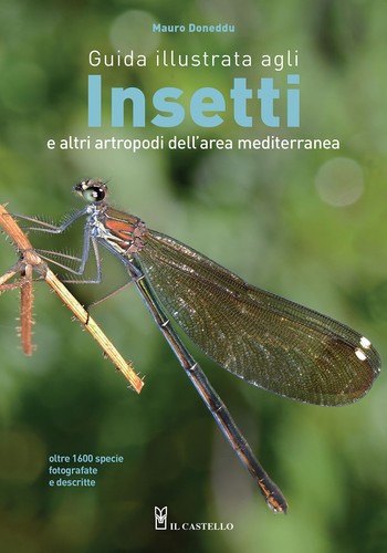 Guida illustrata agli insetti