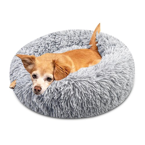 Cuccia gatto letto - cuccia, cane