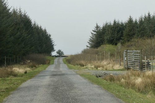 Photo 6x4 road kilchiaran - 6x4,