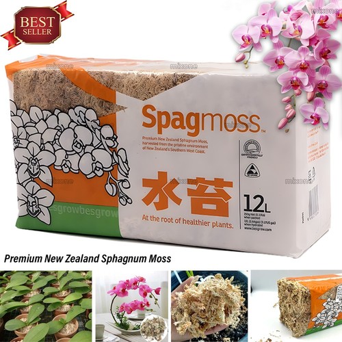 Nuovo spagmoss sphagnum moss - spagmoss,