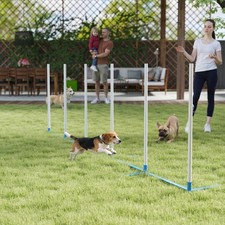 PawHut Cani Agility Training