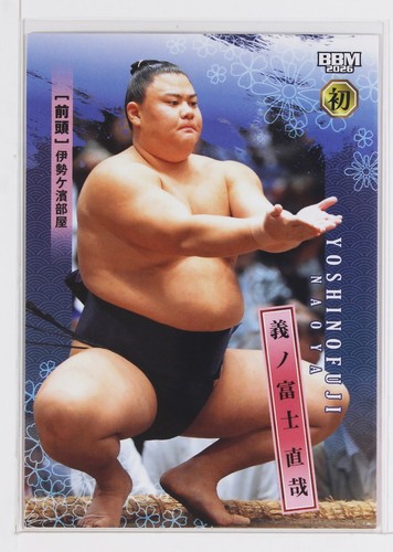 Yoshinofuji naoya - naoya, (maegashira)