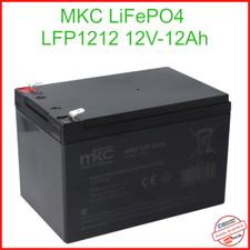 Batteria LiFePO4 12v 12ah