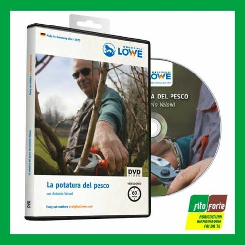 Stocker dvd corso completo - stocker,
