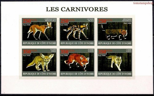 Carnivoro animali grigio - animali,