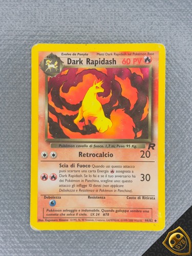 Dark rapidash non - 44/82,
