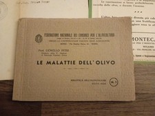 Le Malattie Dell'olivo  1934