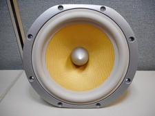 Woofer di ricambio B&W LF