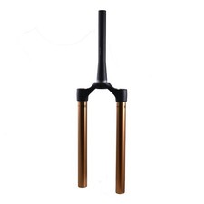 Bici elettrica Fox 36 2021 +